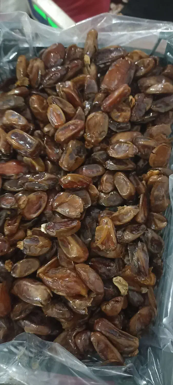 خرما بدون هسته|حراج|کوهدشت, |دیوار