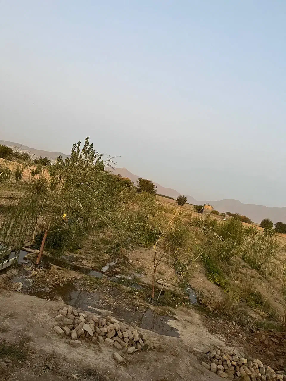 فروش باغ و زمین کشاورزی نزدیک شهر|فروش دفتر صنعتی، کشاورزی، تجاری|ملایر, |دیوار