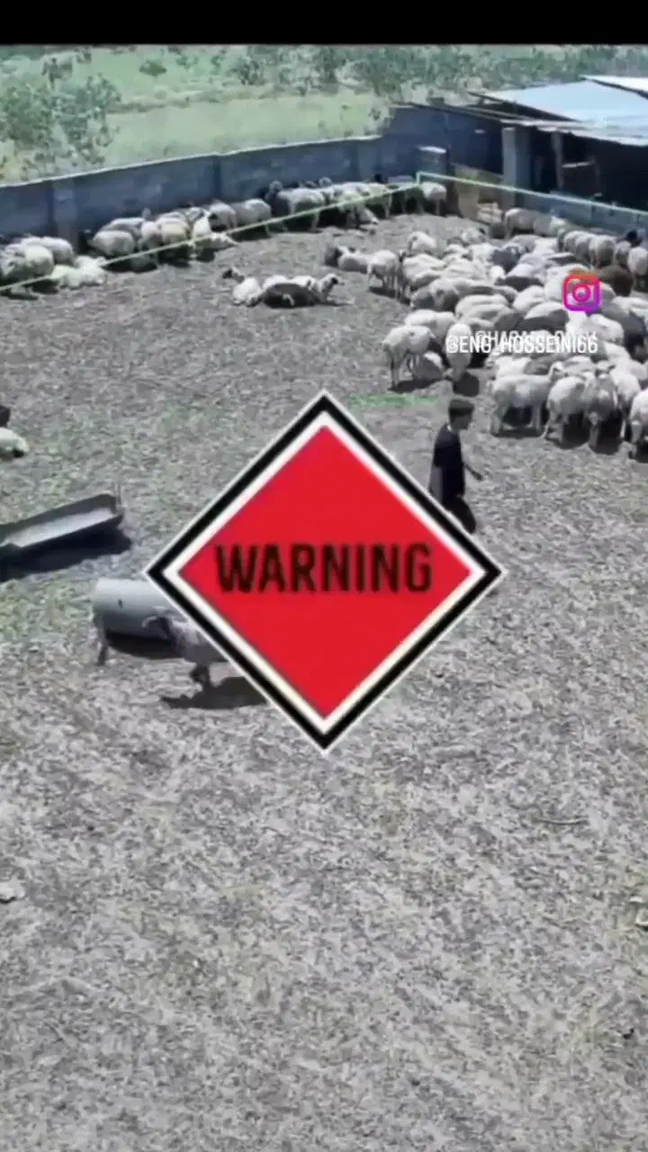 دزدگیر ویژه دامداری|دوربین مداربسته|قم, شهید رجایی|دیوار