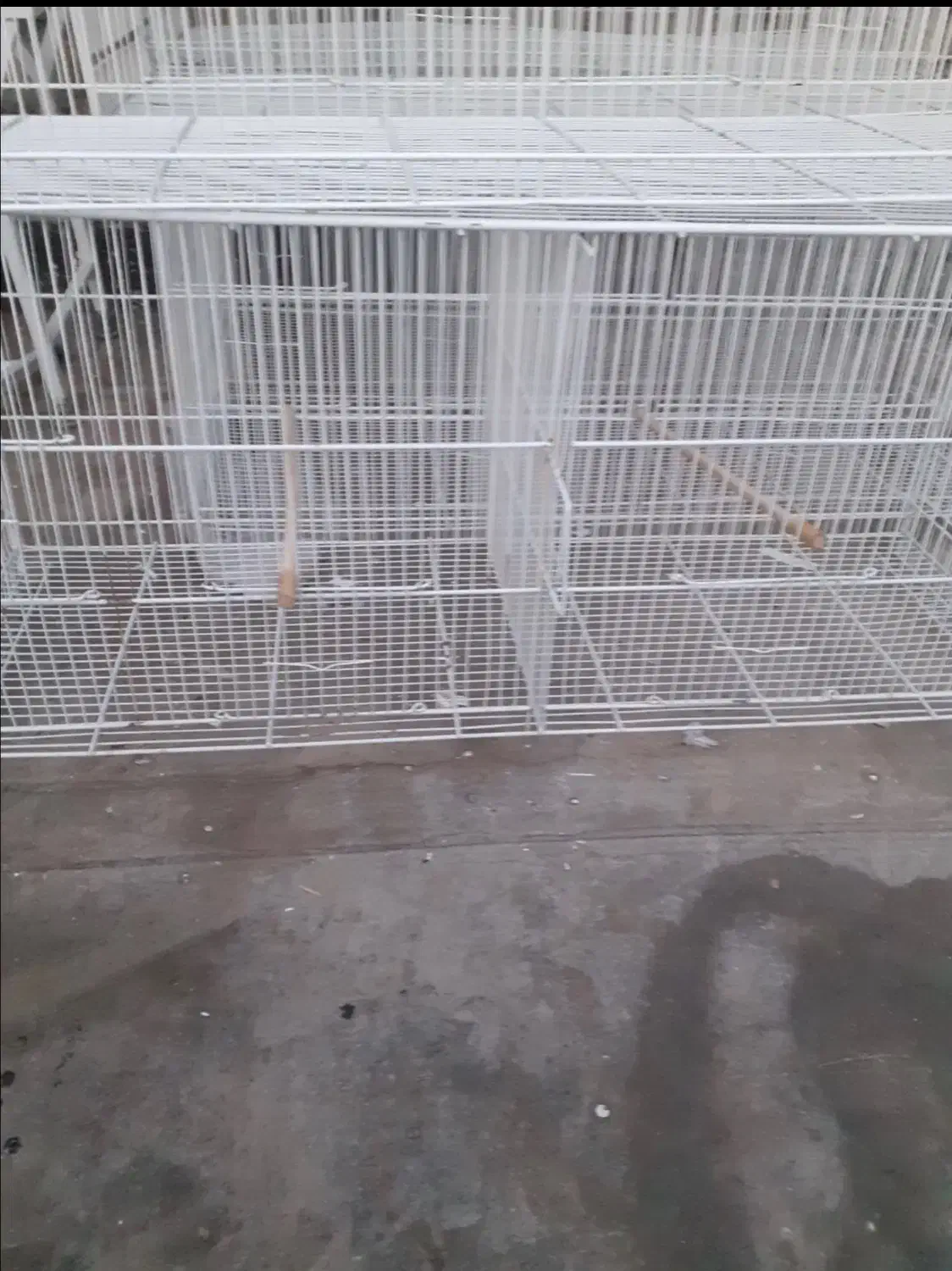 قفس پرنده|لوازم جانبی حیوانات|نیشابور, شهرک فیروزه|دیوار