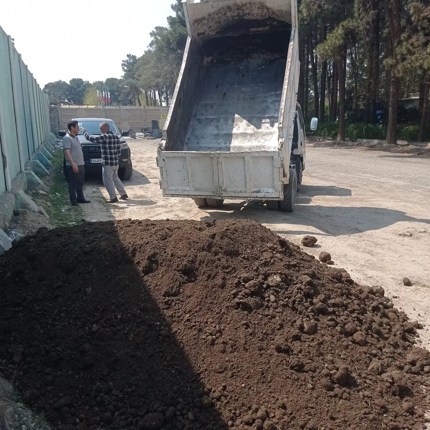 کود گاوی و گوسفندی|گل و گیاه طبیعی|صباشهر, |دیوار