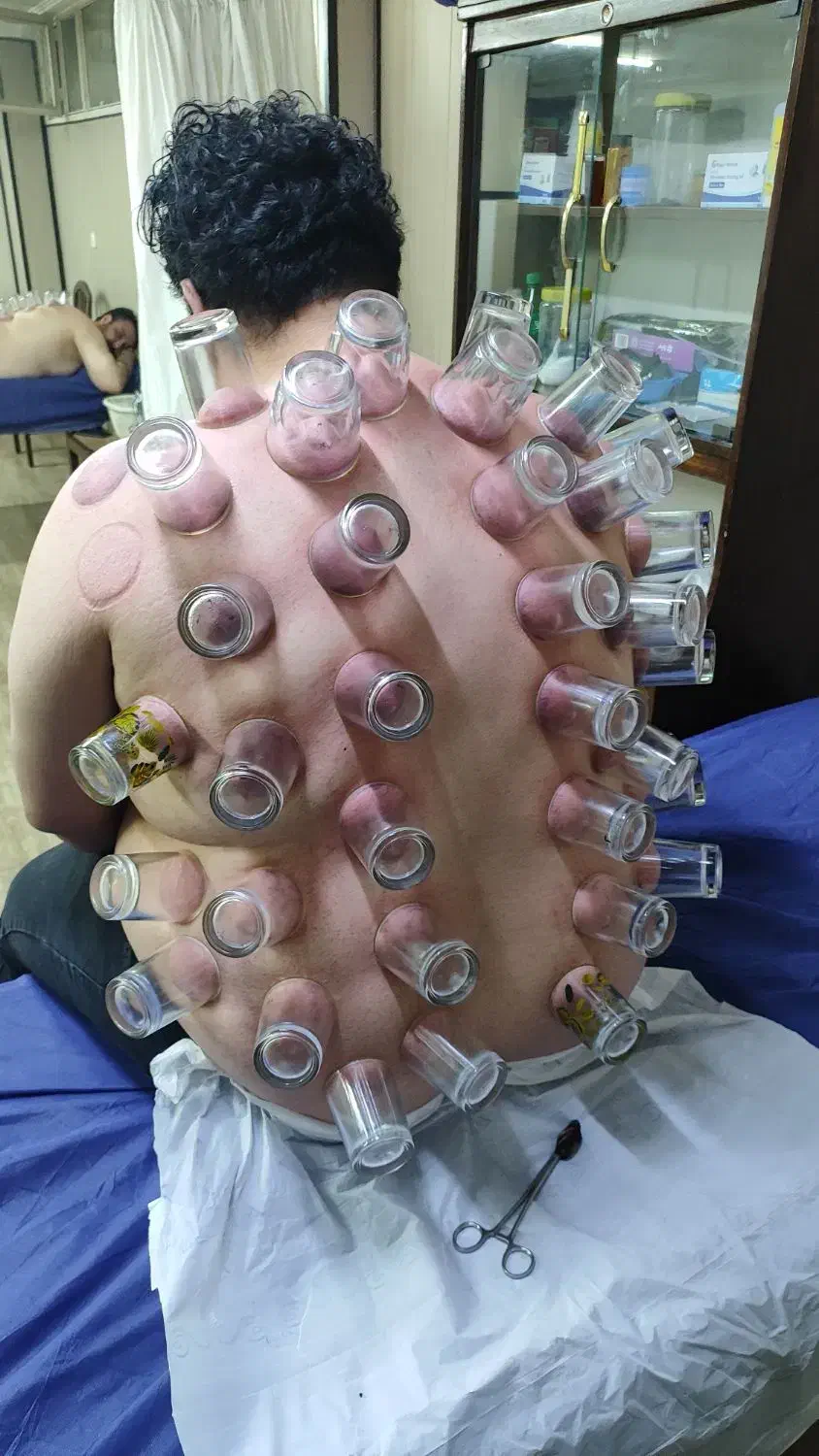 گیاه شناسی|آرایشی، بهداشتی، درمانی|شهریار, شهریار|دیوار