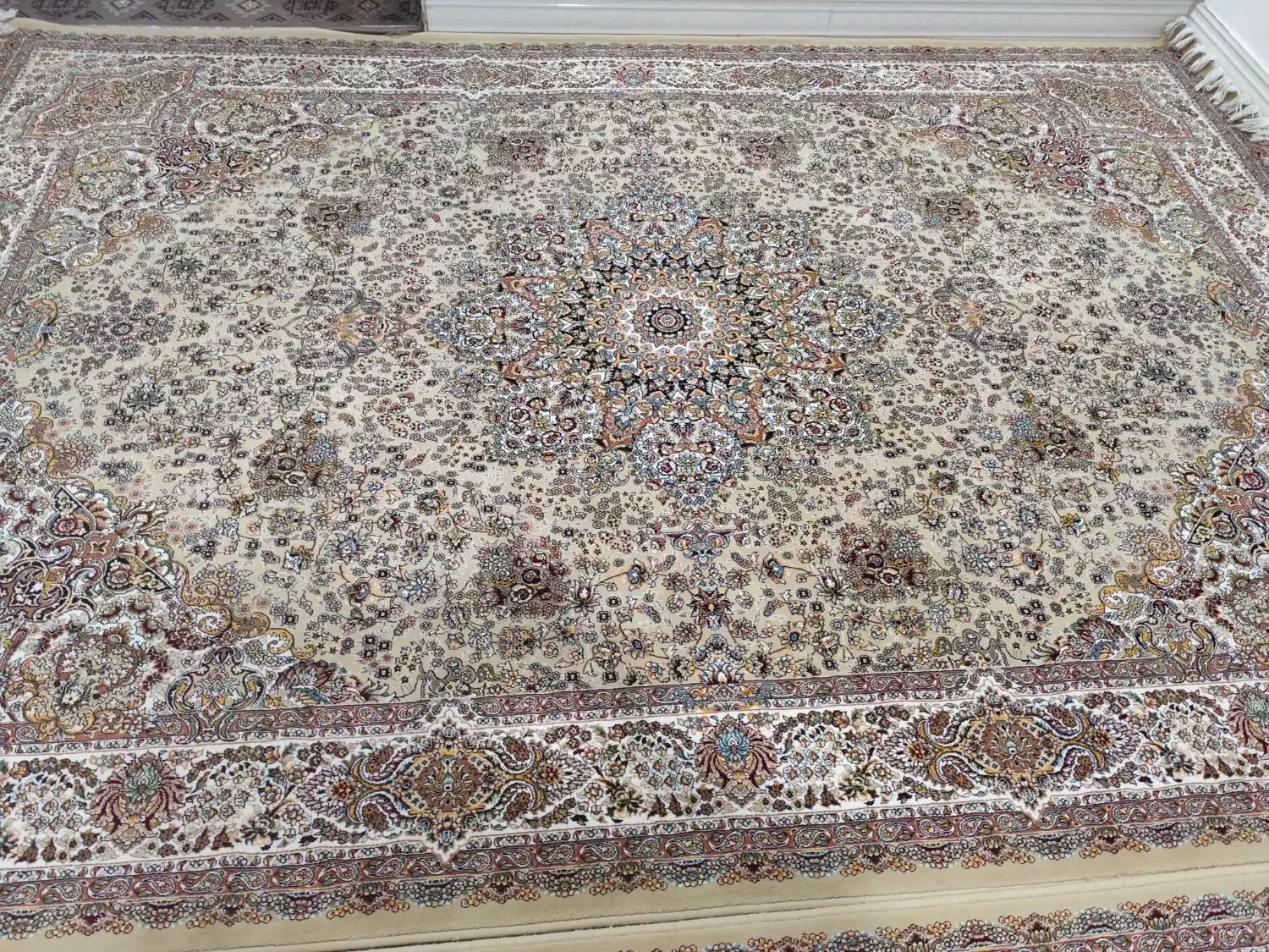 فرش 700شانه نو نو|فرش|پیرانشهر, |دیوار