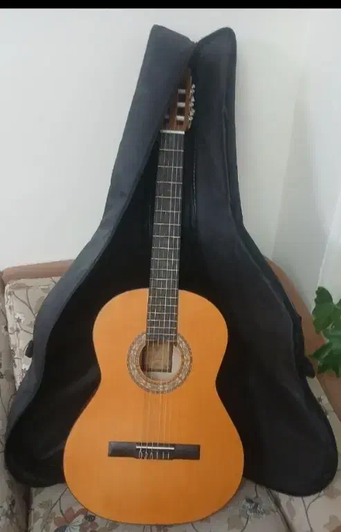 گیتار اموزشی|گیتار، بیس، امپلیفایر|مشهد, امیریه|دیوار