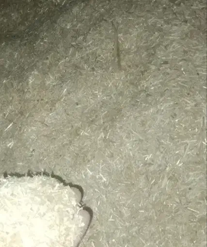 کاه ریگ|لوازم جانبی حیوانات|آشخانه, |دیوار