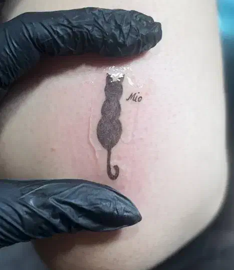 مدل رنگ و لایت ، میکاپ،کراتین و پروتئین تراپی|خدمات آرایشگری و زیبایی|رشت, معلم|دیوار