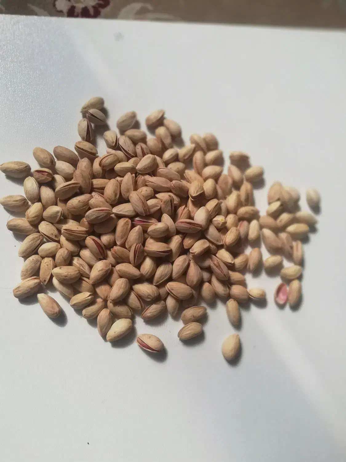 پسته دهن باز خندان|خوردنی و آشامیدنی|درمیان, |دیوار