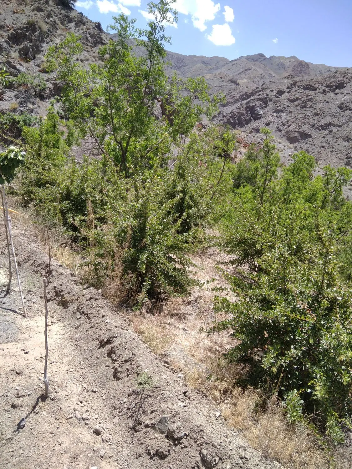 تصویر 6