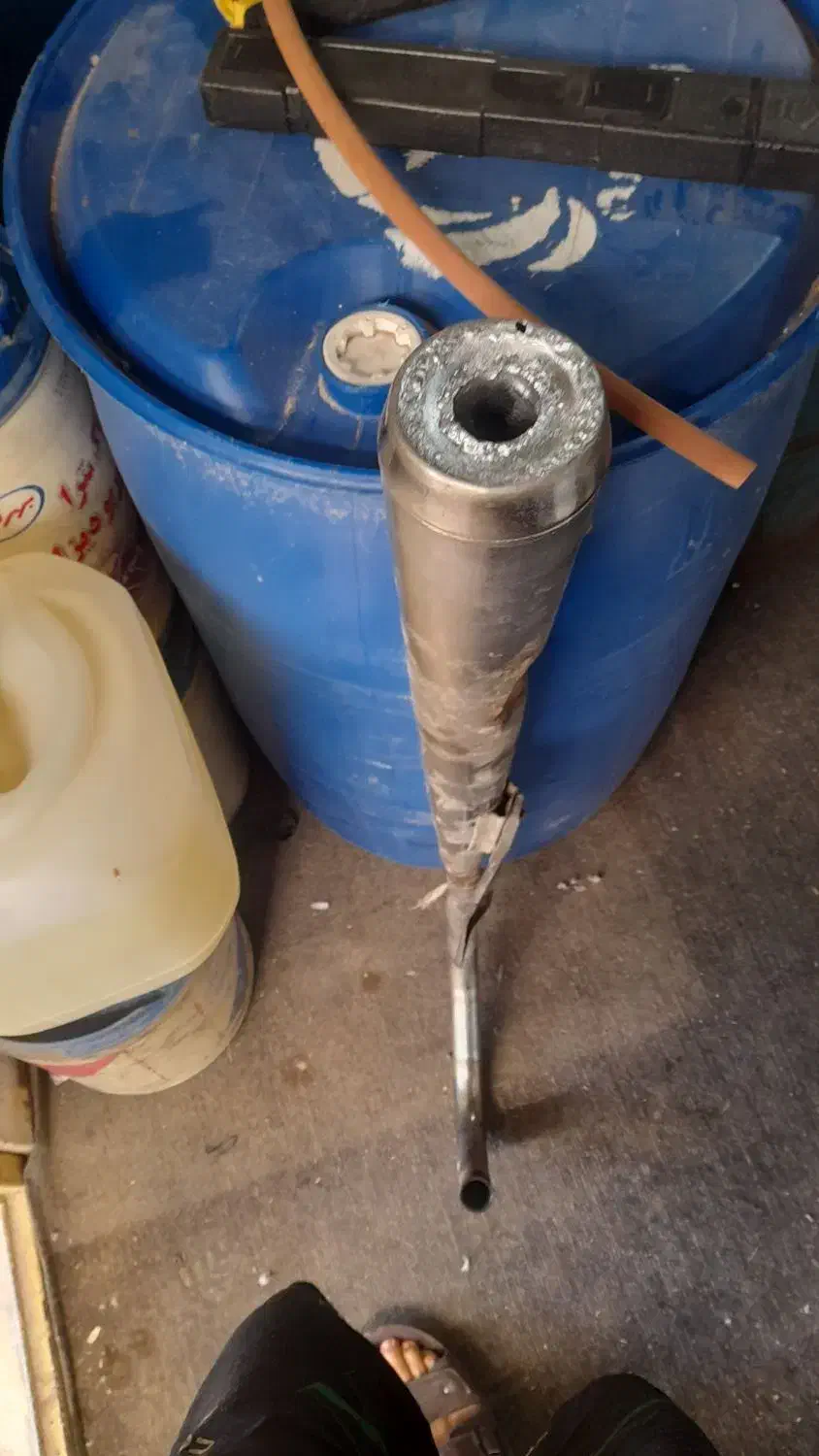 کفتر|کلکسیون و سرگرمی|بم, |دیوار