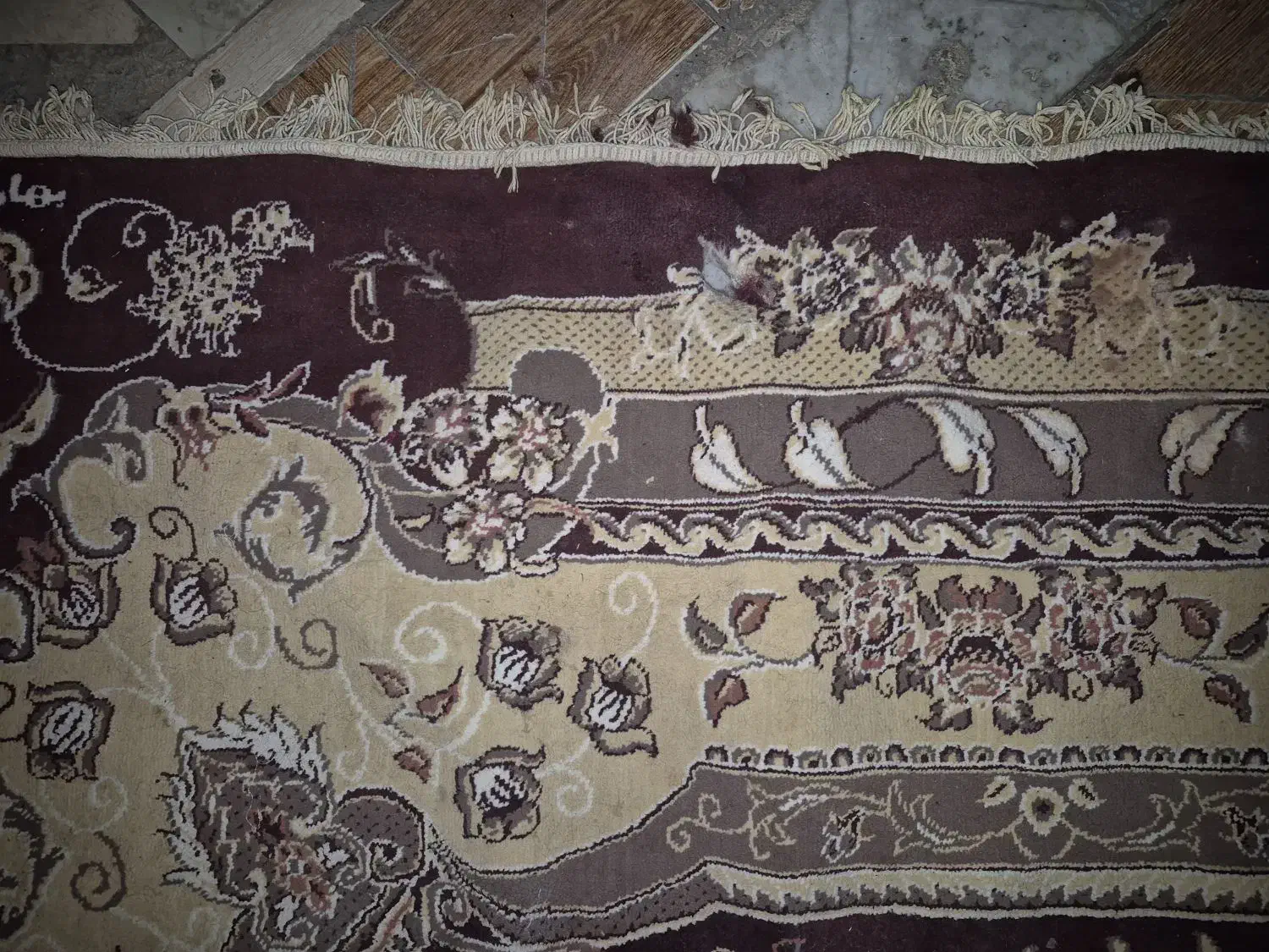 فرش ۱۲ متری کارکرده|فرش|زاهدان, |دیوار