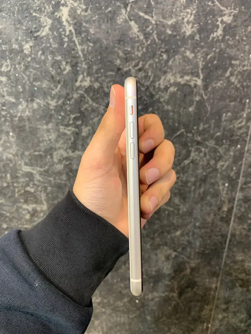iPhone 11|موبایل|مشهد, سید رضی|دیوار