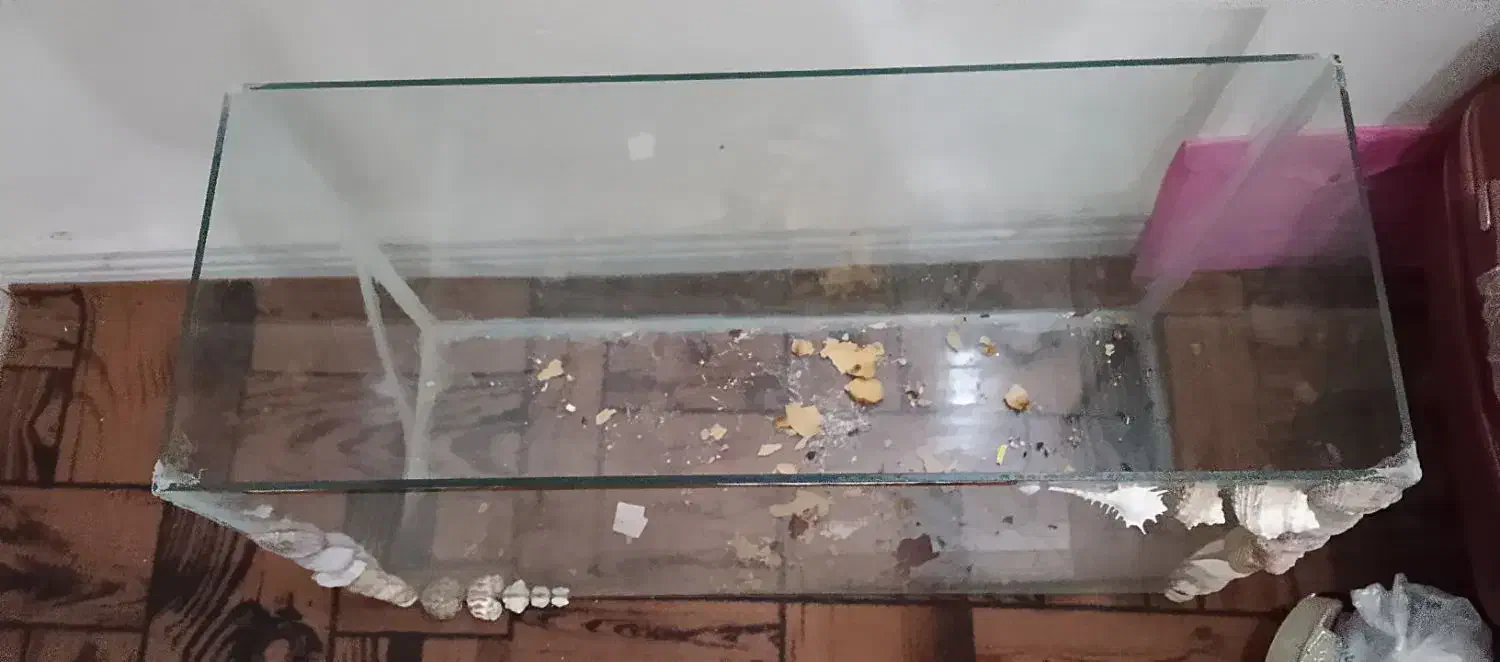 آکواریوم بزرگ|ماهی|سندرک, |دیوار