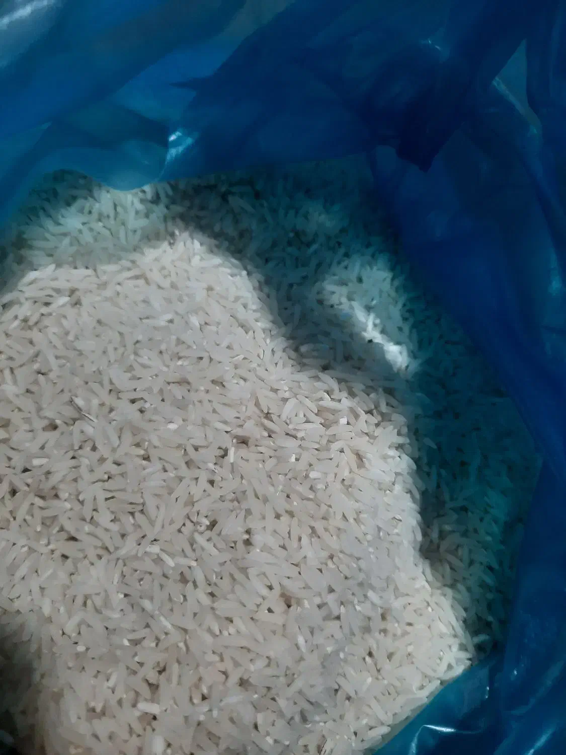 برنج|خوردنی و آشامیدنی|نگین شهر, |دیوار