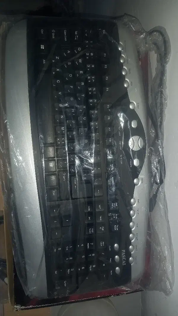 کیبورد پاسکال کسرا|قطعات و لوازم جانبی رایانه|بجنورد, |دیوار