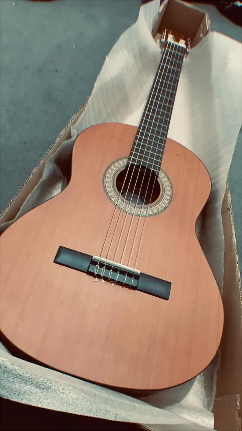 گیتار پارسی مدل پی هشتاد بهترین گیتار ایرانی کیف|گیتار، بیس، امپلیفایر|مشهد, توس (بلوار توس)|دیوار