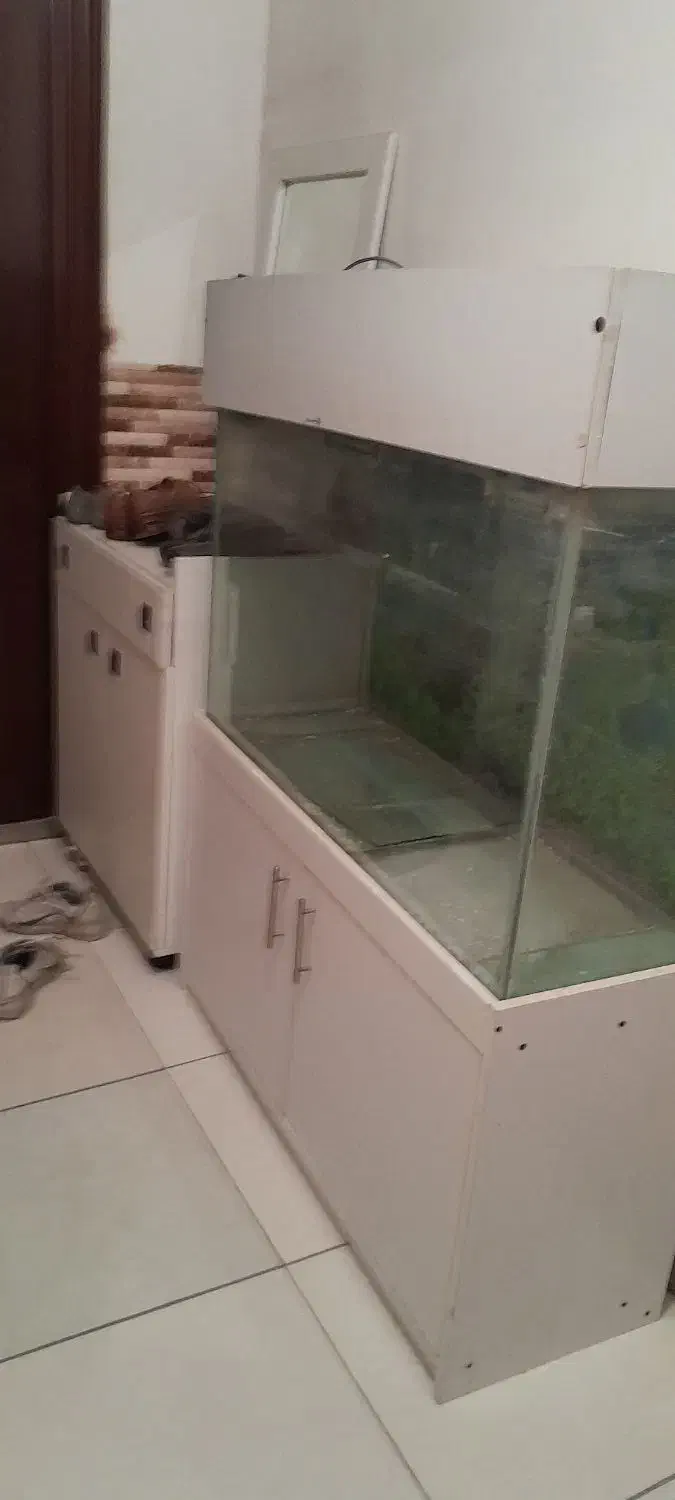 اکواریوم کمد دار|ماهی|کرج, شاهینویلا|دیوار