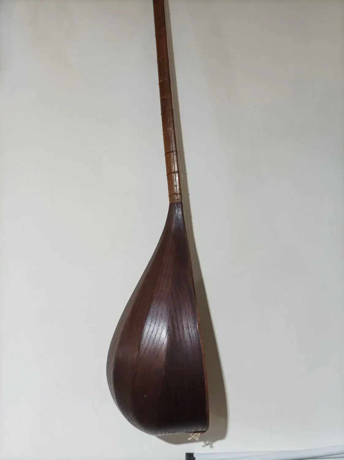 دوتار در حد نو|سازهای سنتی|تربت جام, میان جام|دیوار