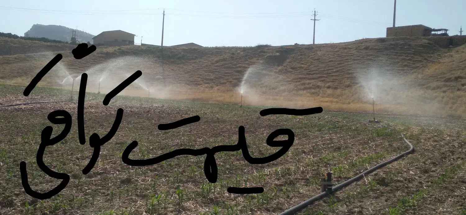 فروش فوری زمین کشاورزی آبی سد هاله|فروش دفتر صنعتی، کشاورزی، تجاری|کوهدشت, |دیوار