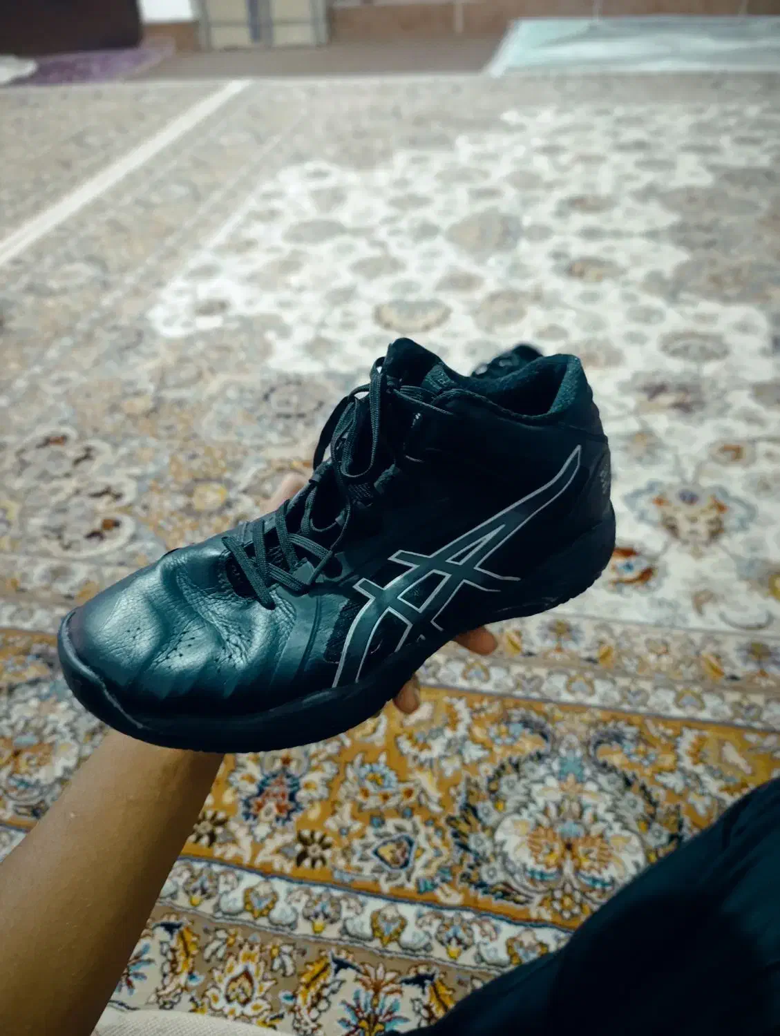 کفش والیبال|کیف، کفش، کمربند|کلاله, |دیوار