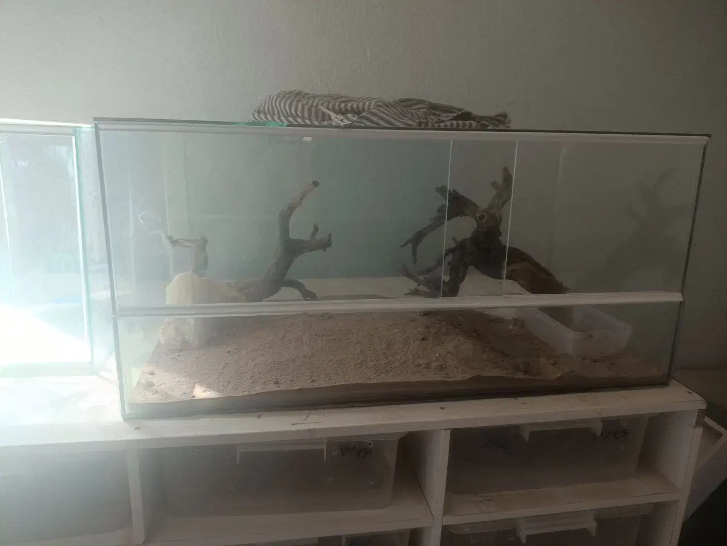 آکواریوم و تجهیزات|ماهی|یزد, |دیوار