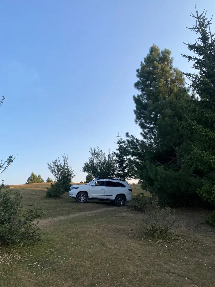 دایون Y7|خودرو سواری و وانت|تهران, سعادت‌آباد|دیوار