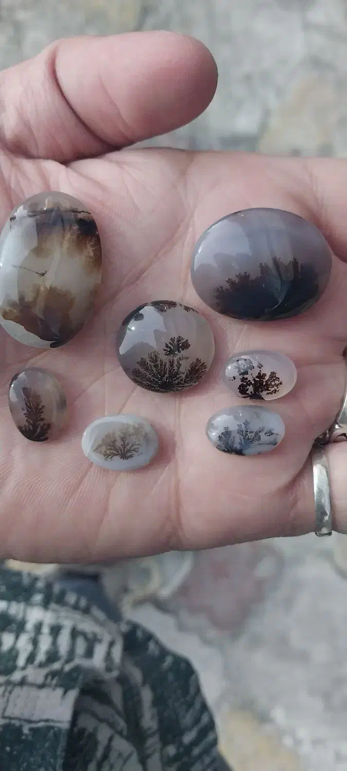 سنگ شجر اصل|جواهرات|بروجرد, |دیوار