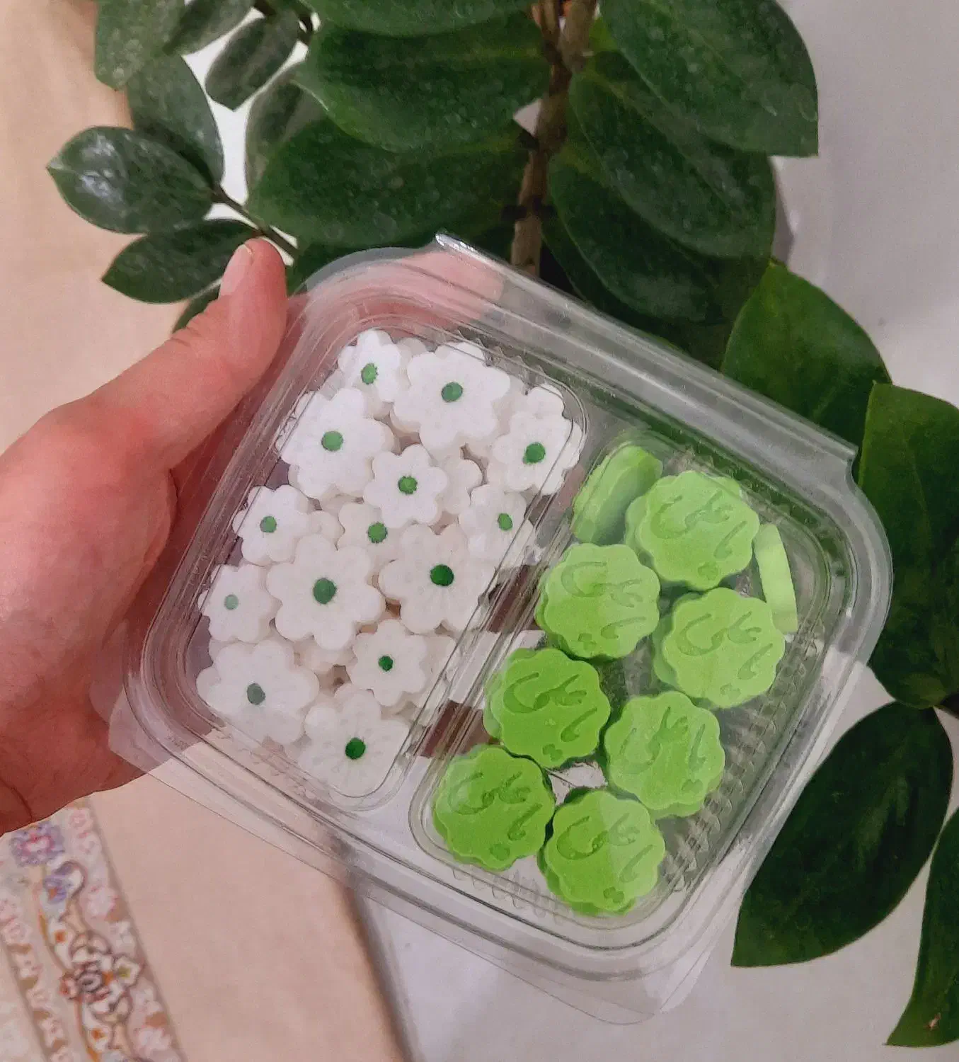 قند و نبات|خوردنی و آشامیدنی|تهران, والفجر (افسریه)|دیوار