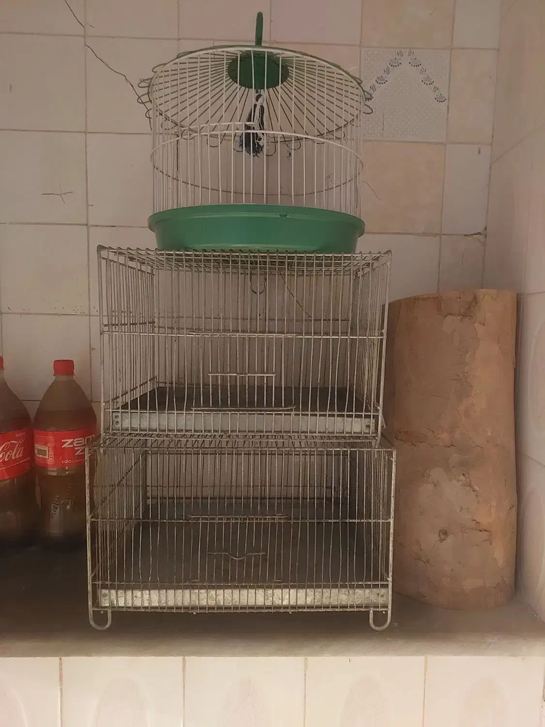 قفس|لوازم جانبی حیوانات|قم, بلوار امین و ساحلی|دیوار