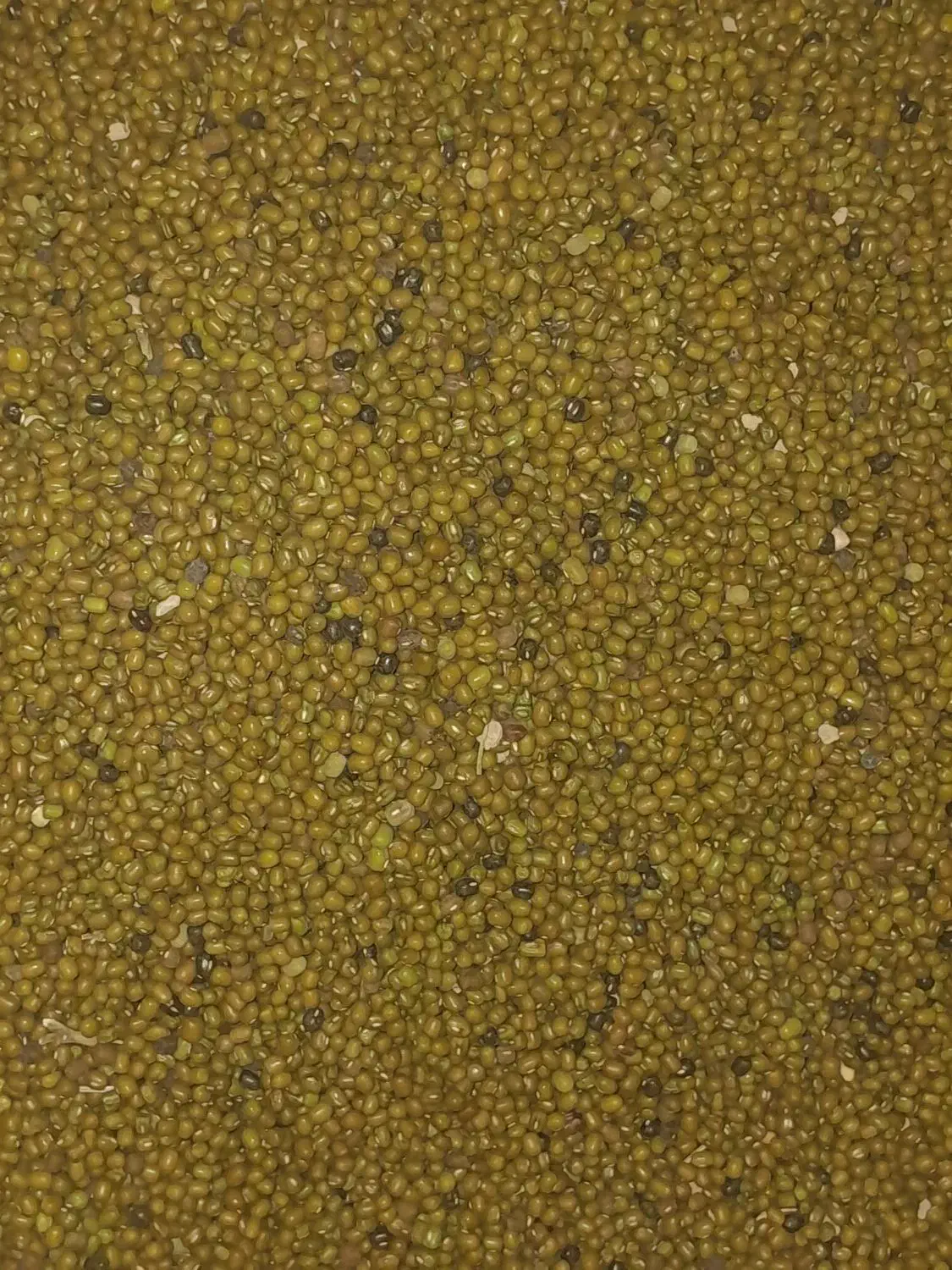 ماش ارتشی|خوردنی و آشامیدنی|رستم, |دیوار