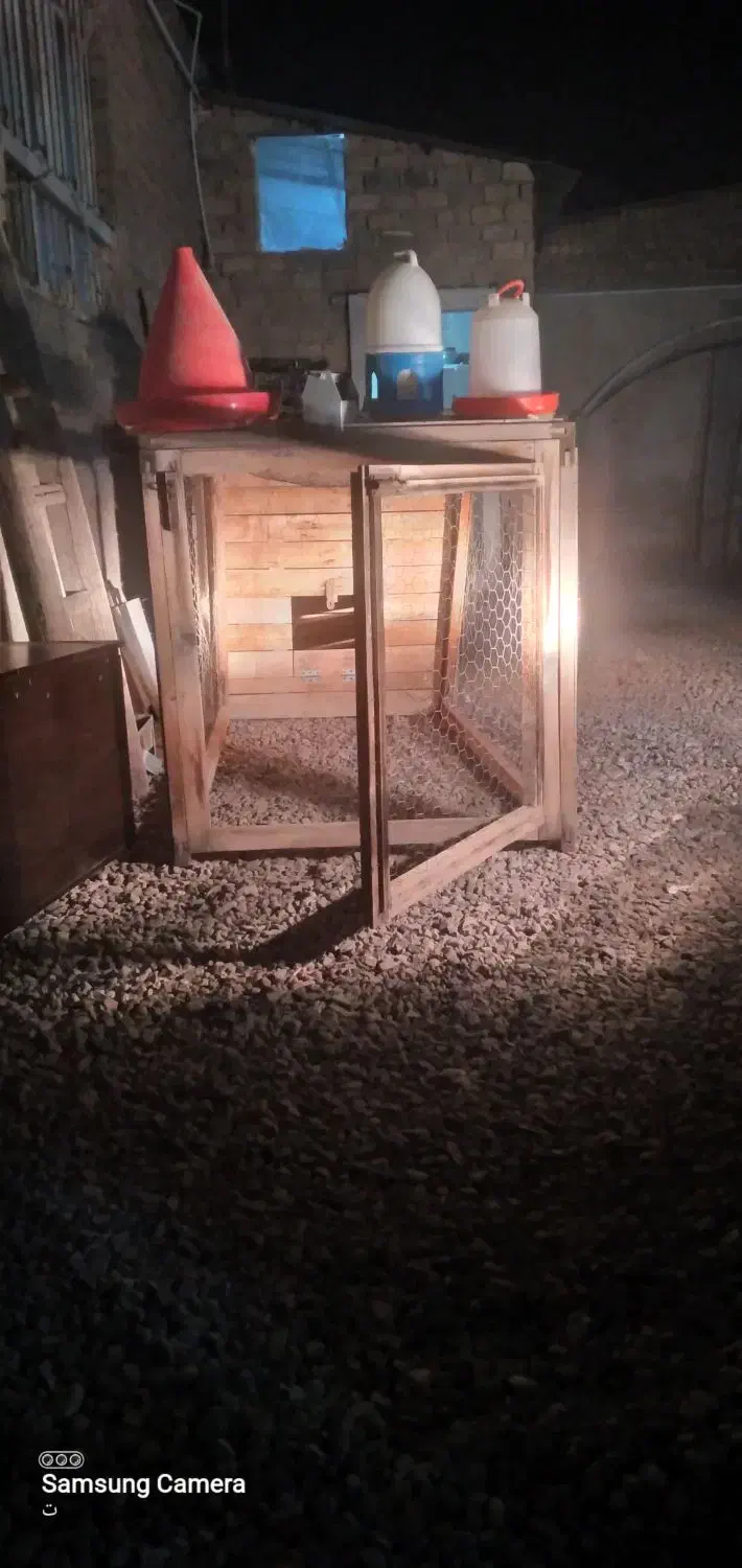 قفس مرغ|لوازم جانبی حیوانات|قم, شهرک مهدیه (مدرس)|دیوار