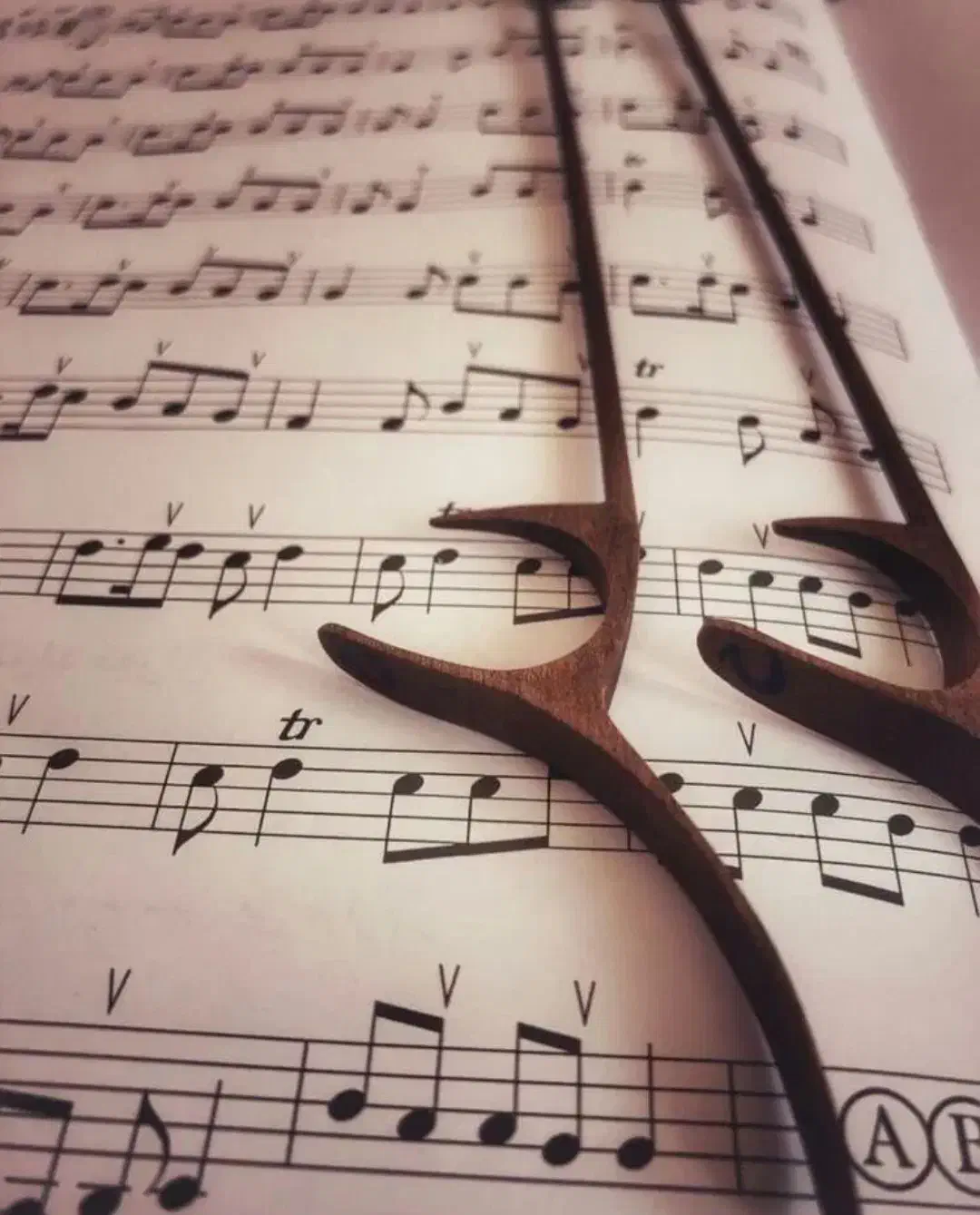 اموزش سنتور|خدمات آموزشی|تهران, هاشمی|دیوار