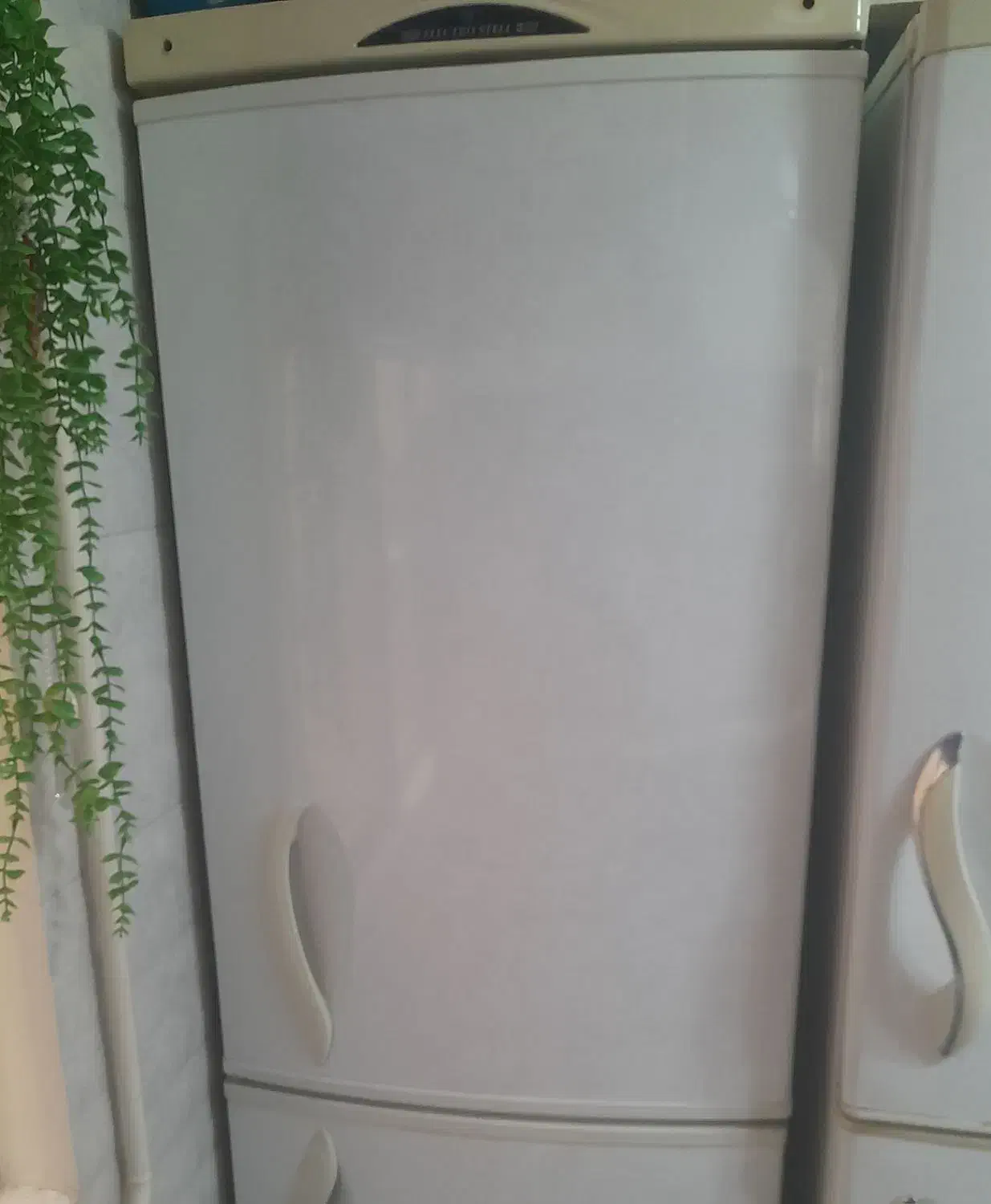 یخچال کارکرده دوعدد|یخچال و فریزر|تهران, شهرک نفت|دیوار