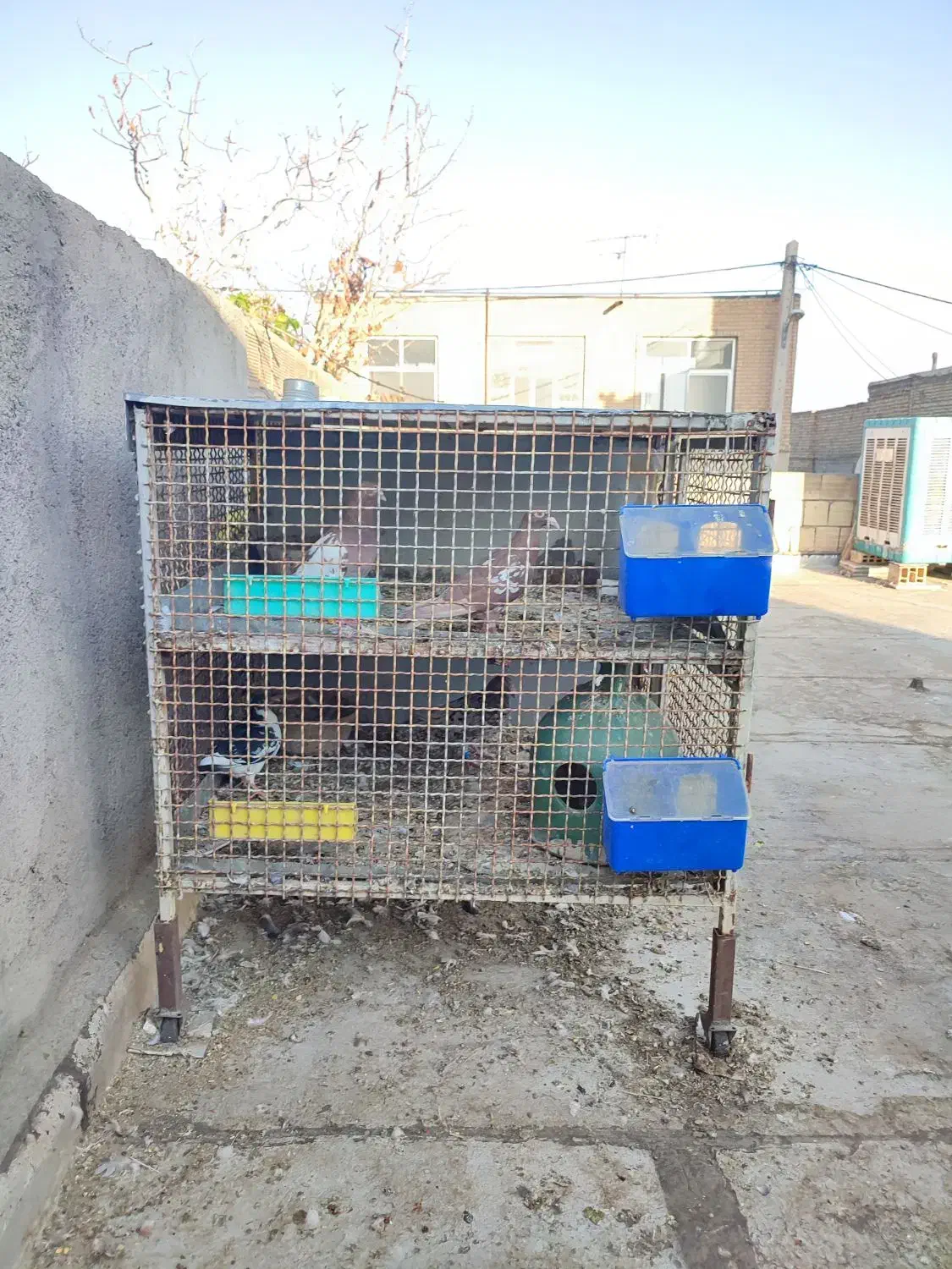 قفس جفت کن|لوازم جانبی حیوانات|لنجان, |دیوار