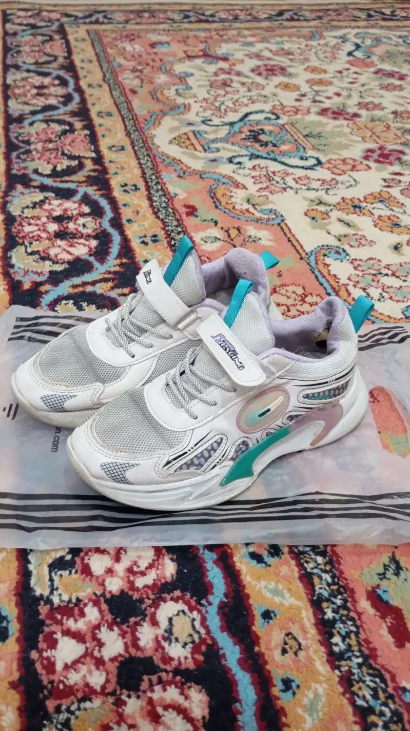 کفش سایز 36|کیف، کفش، کمربند|شیروان (خراسان), |دیوار