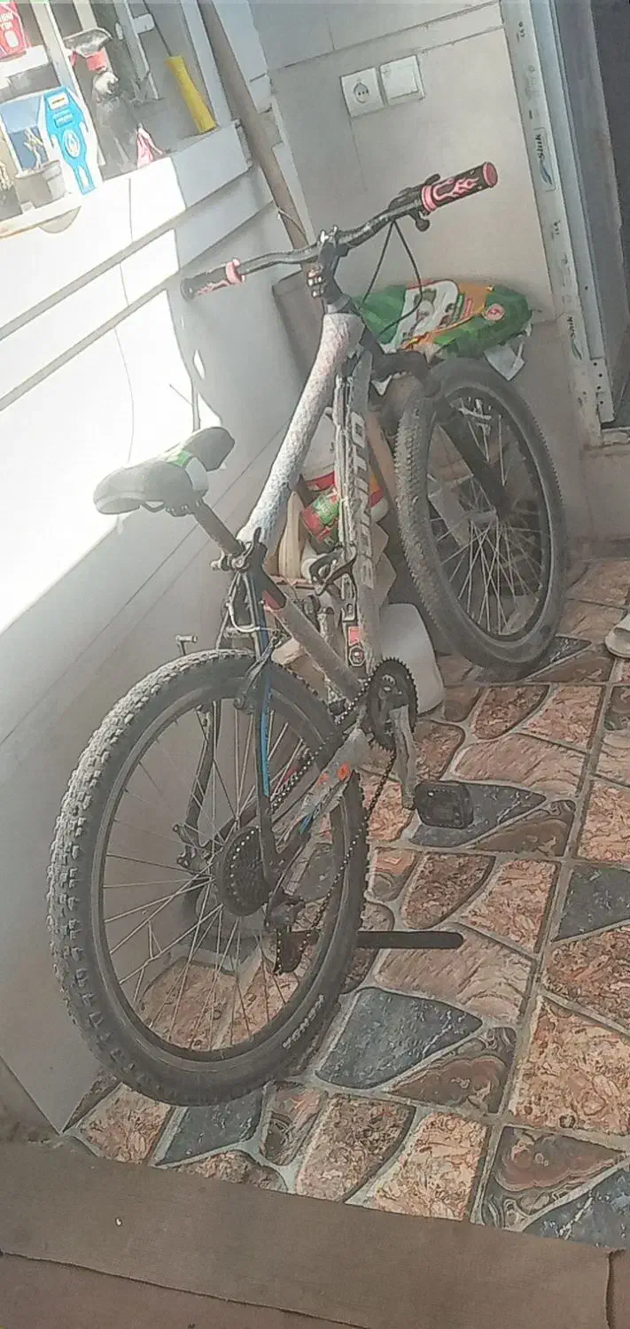 دوچرخه ۲۶|دوچرخه، اسکیت، اسکوتر|گنبد کاووس, |دیوار