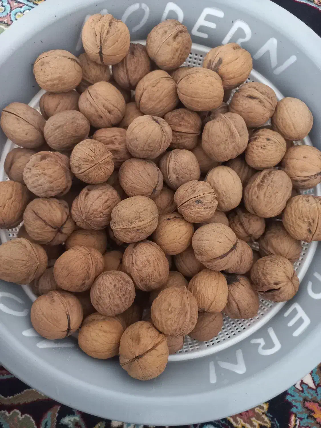 گردو|خوردنی و آشامیدنی|کیار, |دیوار
