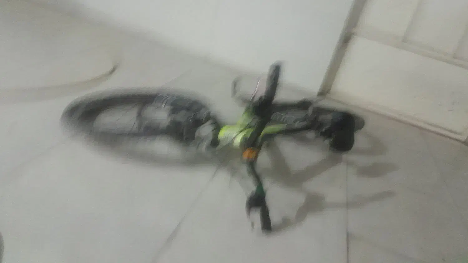 دوچرخ|دوچرخه، اسکیت، اسکوتر|اندیمشک, |دیوار