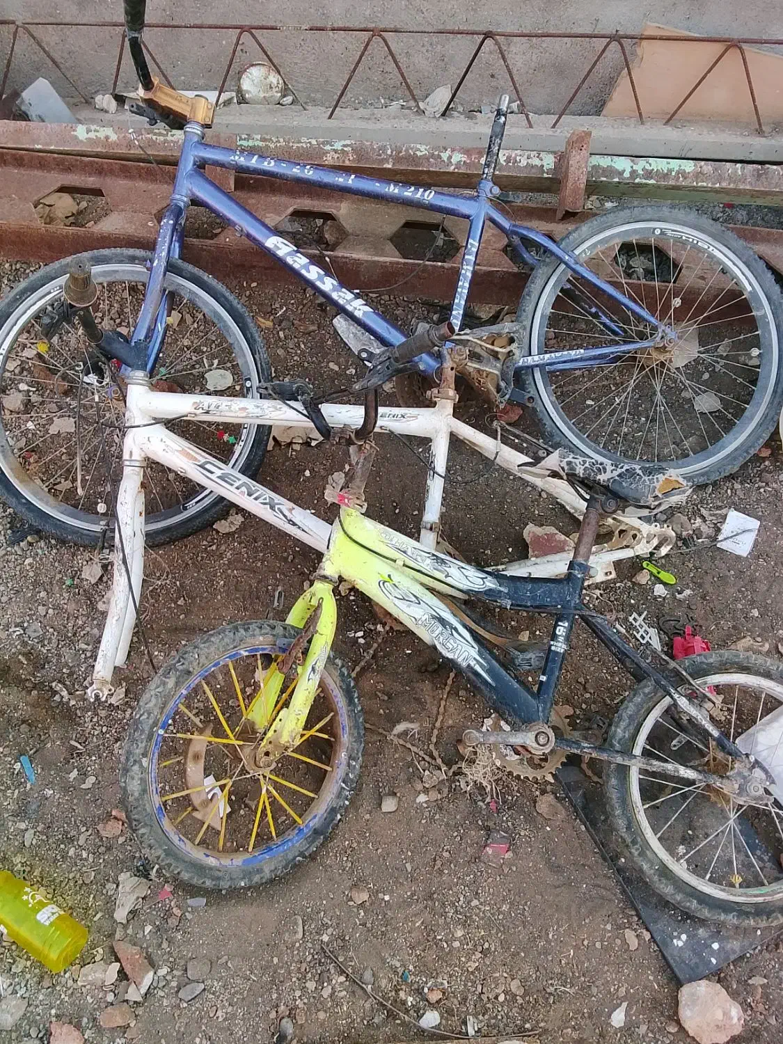 دوچرخه24|دوچرخه، اسکیت، اسکوتر|بستان آباد, |دیوار