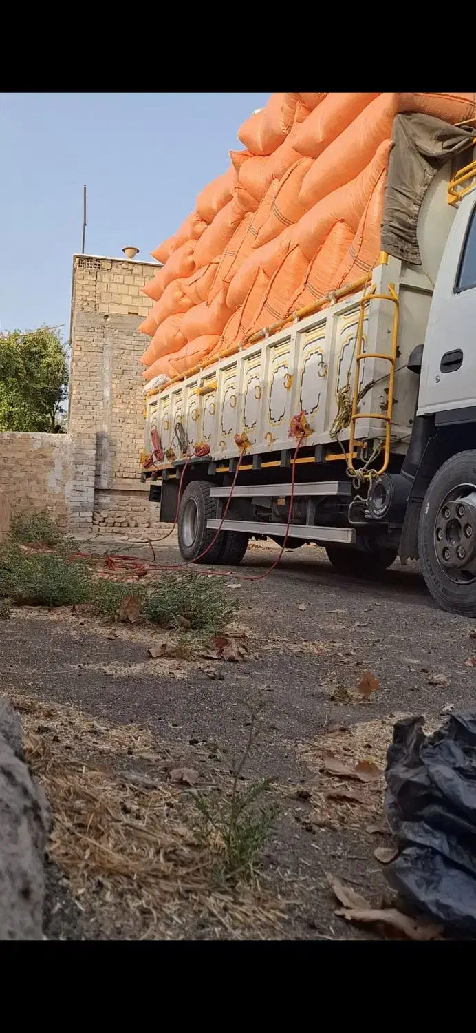 کاه درجه یک|لوازم جانبی حیوانات|کاشان, مشکات|دیوار