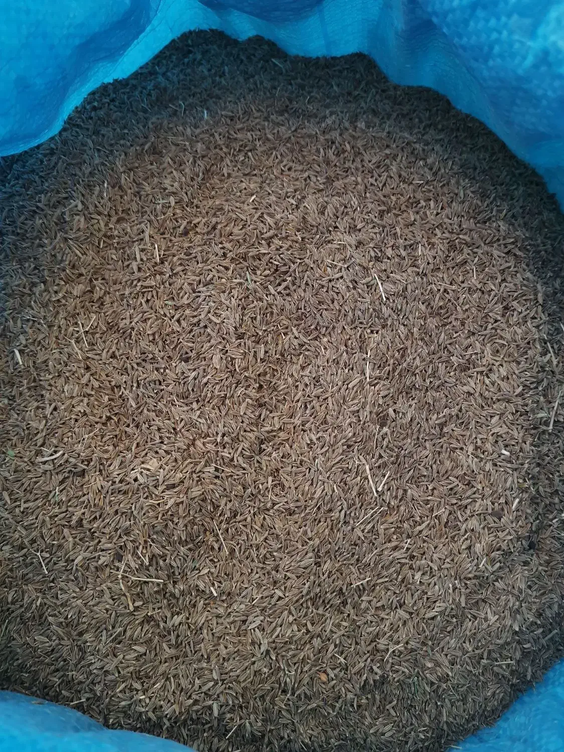 زیره سبز|عمده‌فروشی|فیروزآباد (فارس), |دیوار