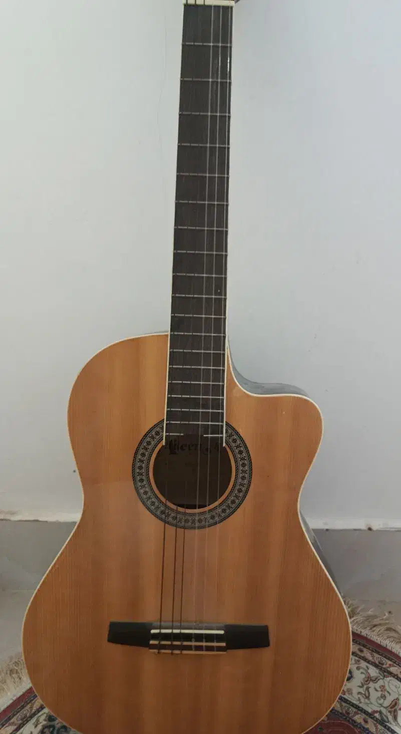 گیتار پیکاپ دار ایلین|گیتار، بیس، امپلیفایر|بندر گناوه, |دیوار