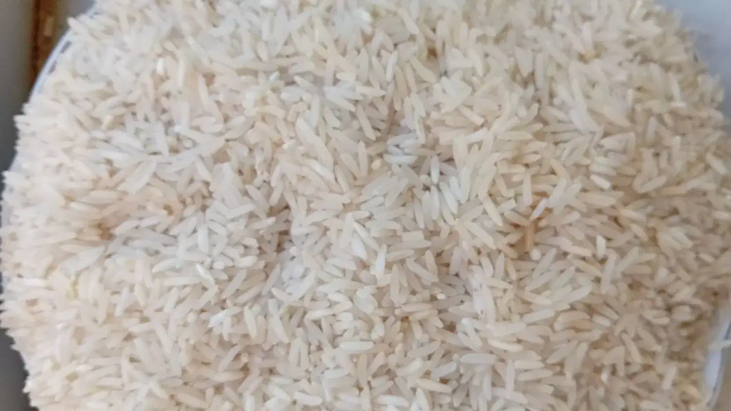 برنج فجر سوزنی|خوردنی و آشامیدنی|خان ببین, |دیوار