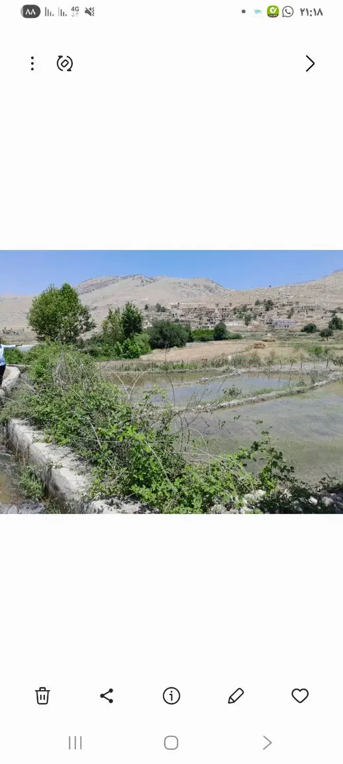 فروش زمین برنجکاری|فروش زمین و ملک کلنگی|ایذه, |دیوار