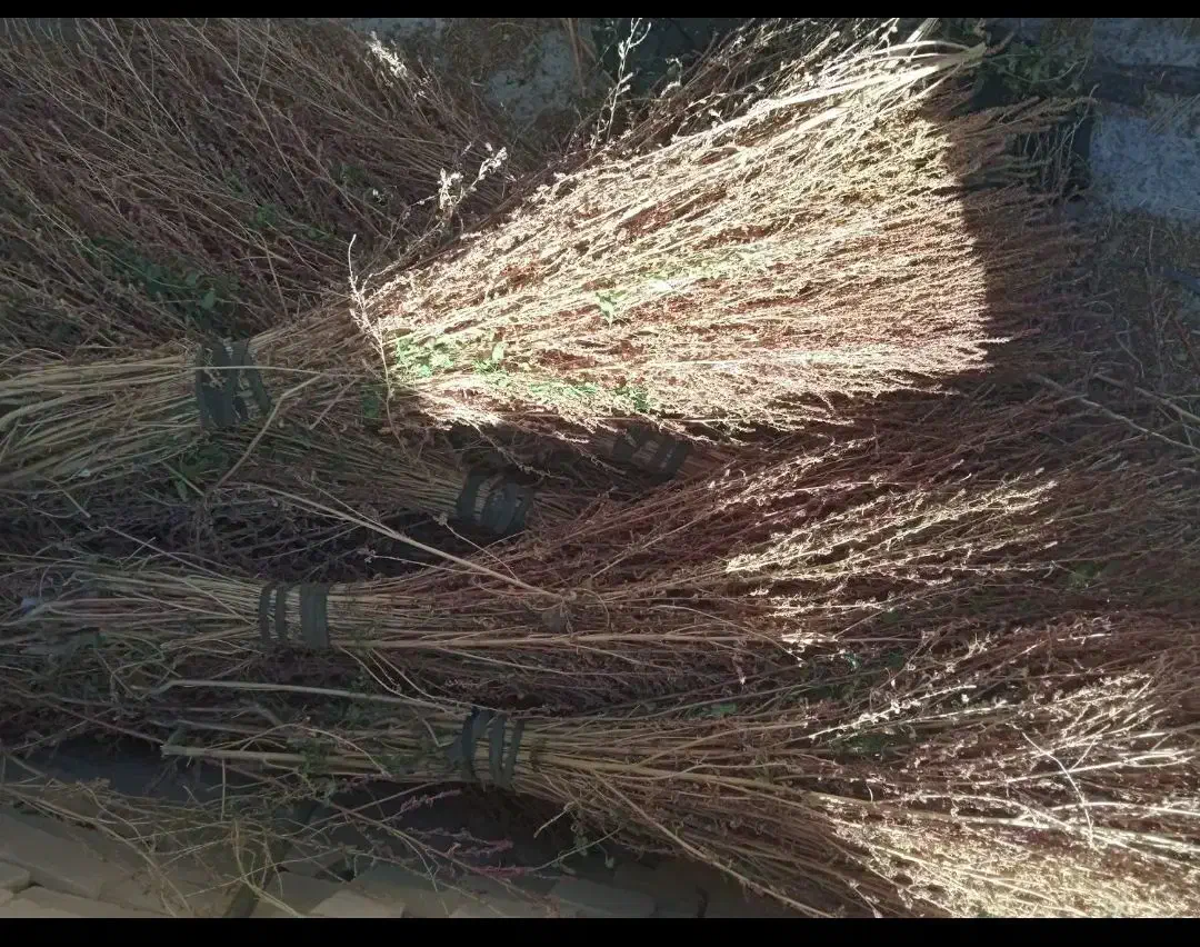 جارو محلی|لوازم نظافت|قروه, |دیوار