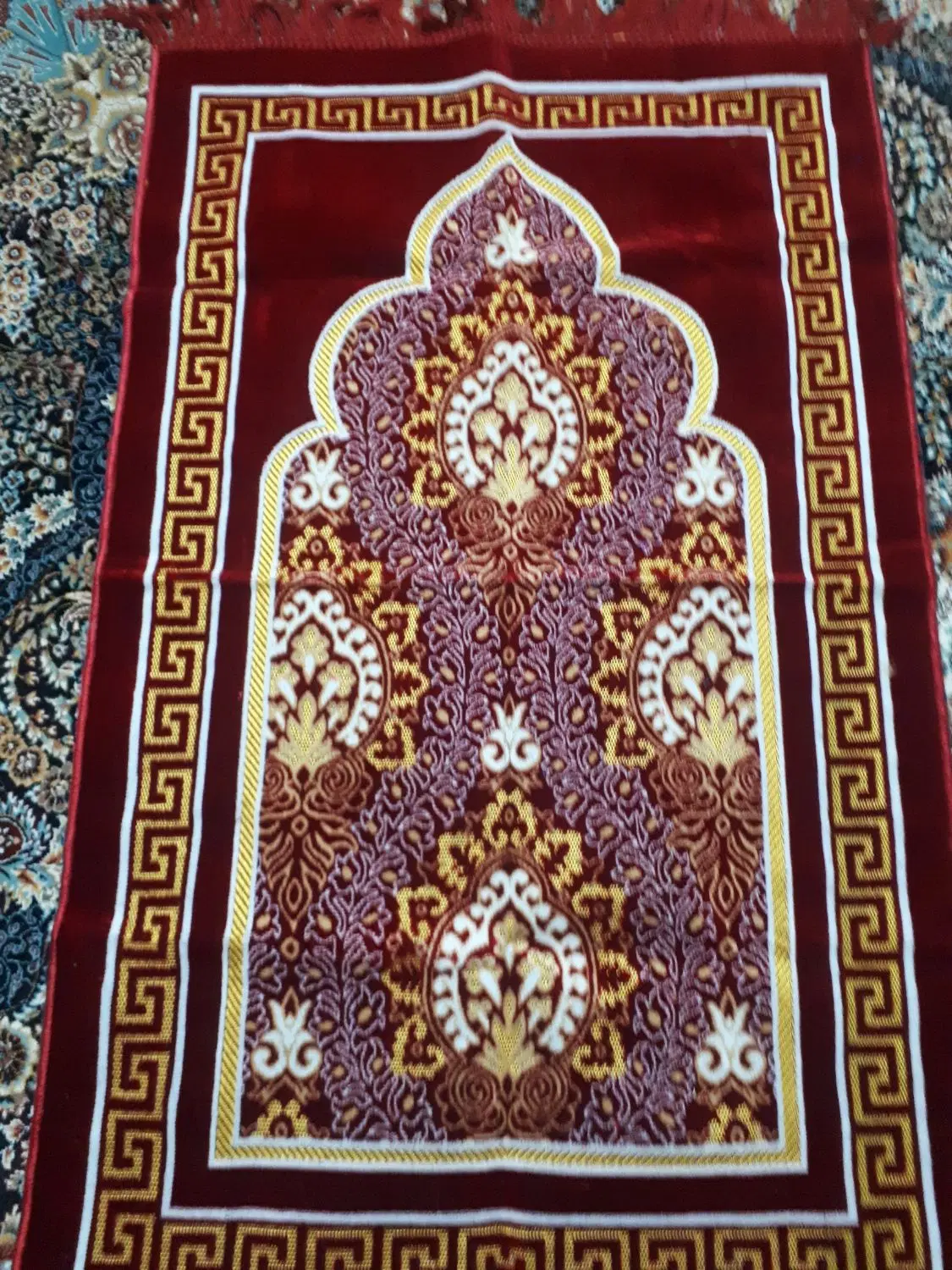 سجاده|گلیم، جاجیم، گبه|اهواز, زیتون کارمندی|دیوار