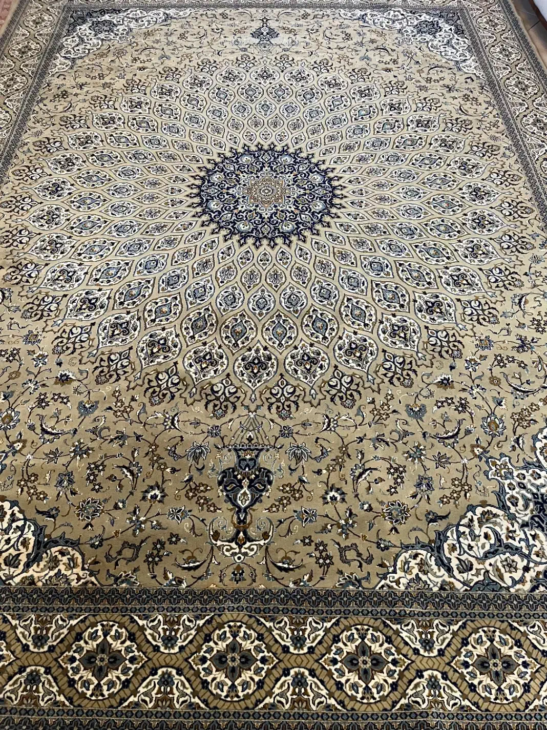 حراج فرش ۱۲ متری|فرش|تنکابن, |دیوار