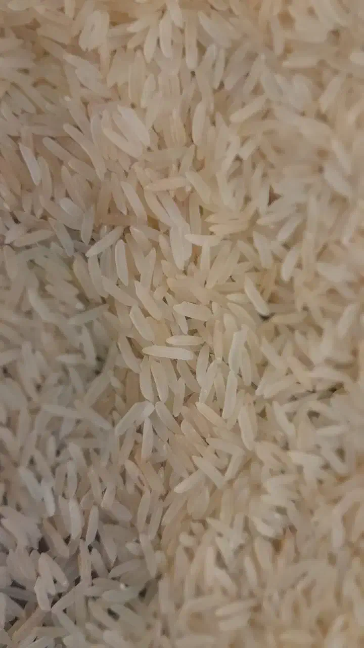 برنج پاکستانی میخک ۳۸۶ سفید|خوردنی و آشامیدنی|قم, شهید صیاد شیرازی|دیوار