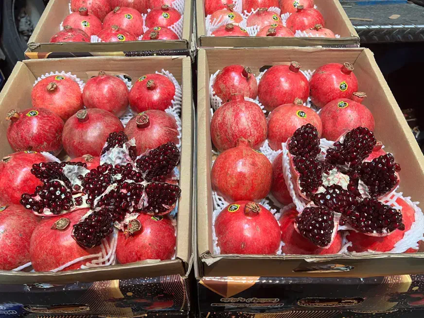 تامین میوه و تره بار عمده برای شرکت ها و ارگانها|عمدهفروشی|تهران, میدان میوه و ترهبار مرکزی|دیوار