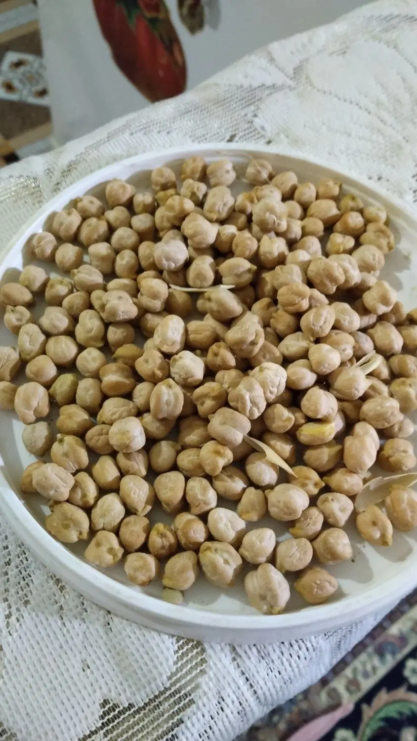 نخود|خوردنی و آشامیدنی|ورامین, ورامین|دیوار