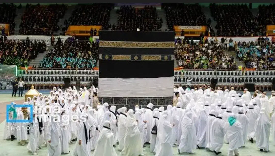 دوفقره ۸۶/۱۲|تور و چارتر|مشهد, عامل|دیوار